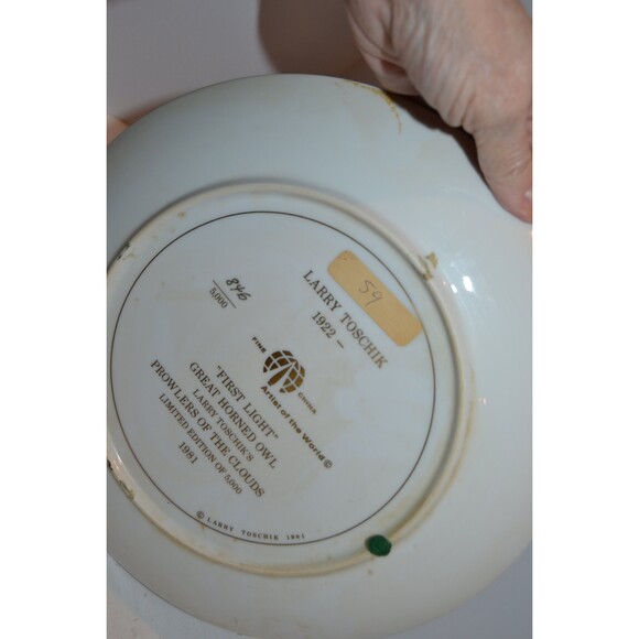 Vintage Owl Collectible Plate for Display Rustic Woodland Cottage Core - Picture 5 of 5